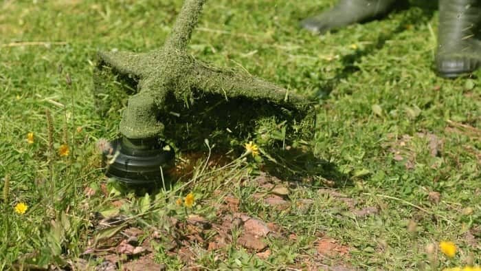 BLACK+DECKER GH900 14-Inch String Trimmer and Edger