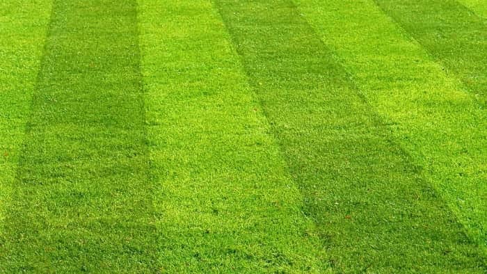 Landscaping Maintenance Tips for Your Lawn