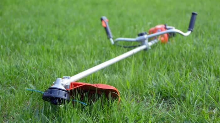 String Eater vs. Weed Eater – What are the Differences?