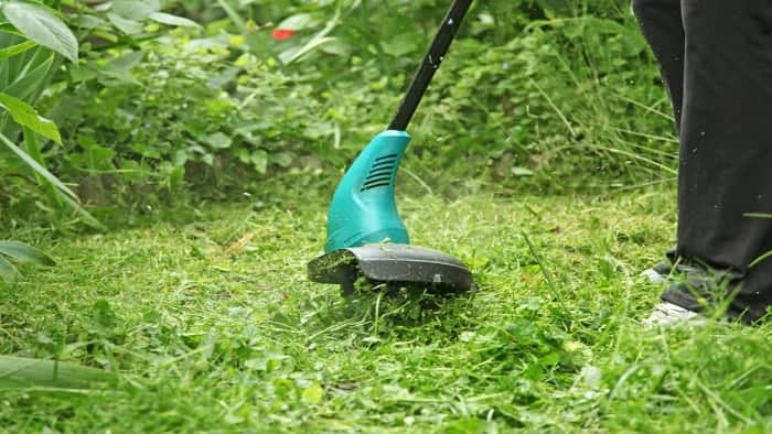 Weed Eater Tools – Buying the Right One